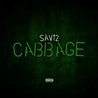 Cabbage by Sav12