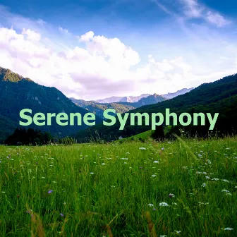 Serene Symphony by Rainforest Meditations