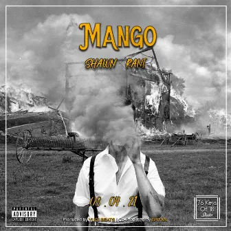 Mango by Shawn Rani