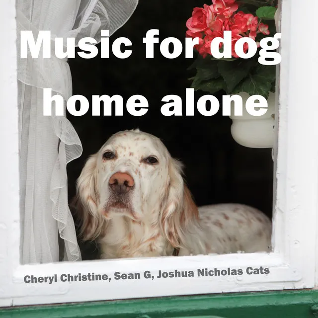 Music for dogs to go to sleep