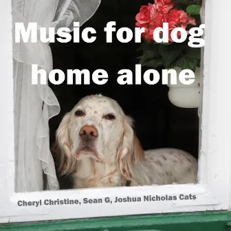 Music for dog home alone by Sean G