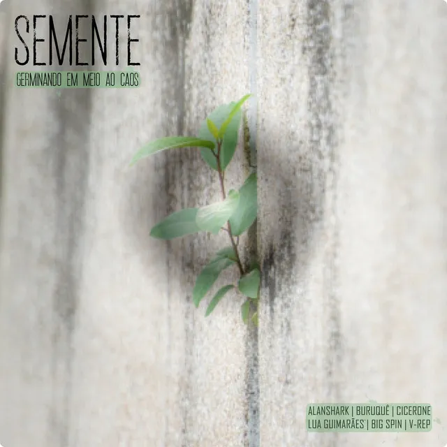 Semente - Germinando em Meio ao Caos