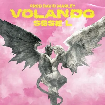 Volando by Sese L