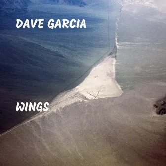 Wings by Dave Garcia