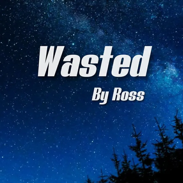 Wasted - Radio Edit