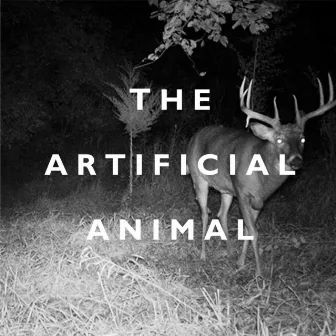 The Artificial Animal by Broken English Club