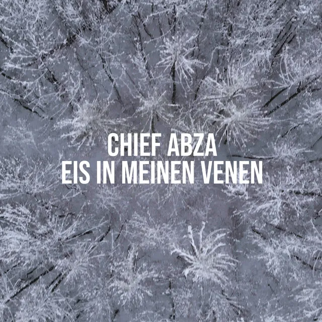 EIS IN MEINEN VENEN