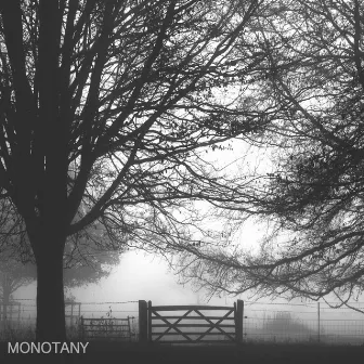 Monotany by Bits & Noise