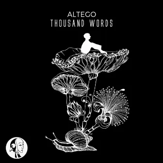 Thousand Words by Altego