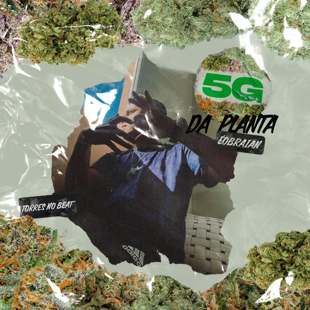 5G da Planta