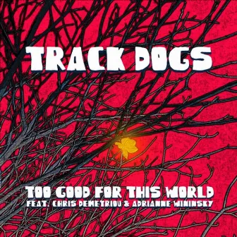 Too Good For This World by Track Dogs