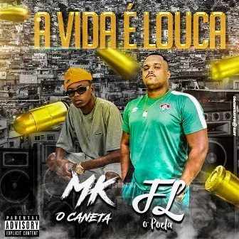 A Vida É Louca by Mc FL