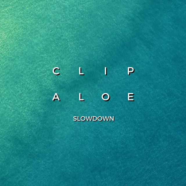 Slowdown