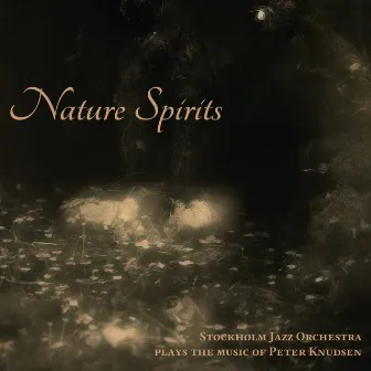 Plays the Music of Peter Knudsen: Nature Spirits by Stockholm Jazz Orchestra