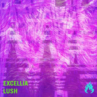 Lush by Excellia