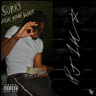 Sorry for the Wait by PJ1K