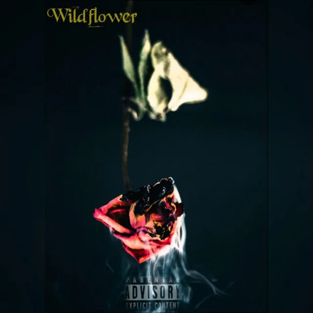 Wildflower