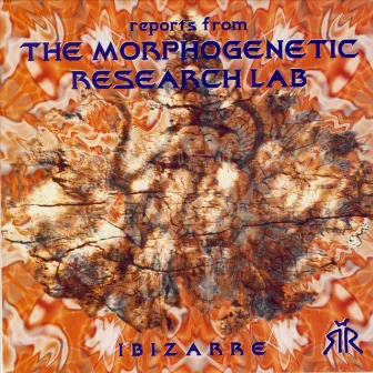 Reports From The Morphogenetic Research Lab by The Morphogenetic