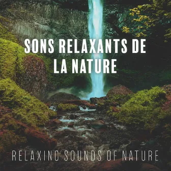 Sons Relaxants de la Nature (Relaxing Sounds of Nature) by Healing Power Natural Sounds Oasis