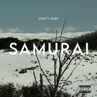 Samurai by Gravy Baby