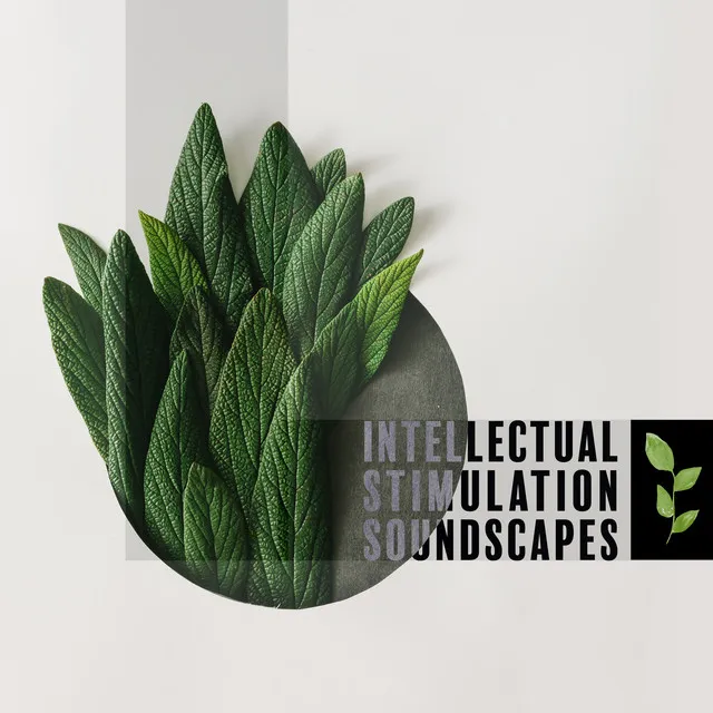 Intellectual Stimulation Soundscapes - Sounds of Nature That Improve Memory and Help You Focus, Key to Success, Smart & Brilliant, Super Learning, Exam Study