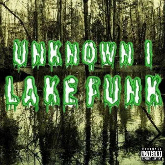 Lakefunk by Unknown I