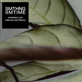 Morning Love (Mike Bloom Remix) by SMTHNG SMTIME