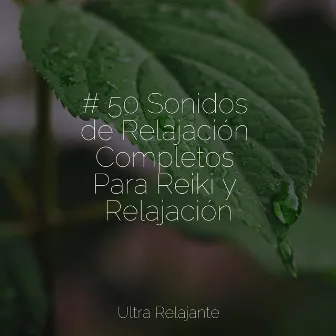 # 50 Sonidos de Relajación Completos Para Reiki y Relajación by Jazz Para Crianças