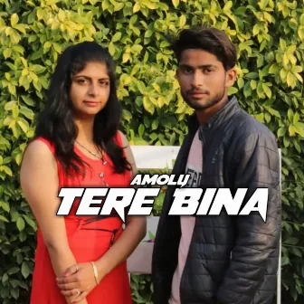 Tere Bina by Unknown Artist