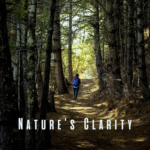 Nature's Clarity: Binaural Focus Sounds for Mental Stamina