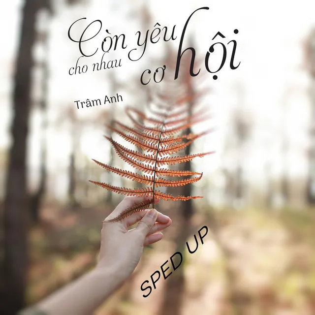 Còn Yêu Cho Nhau Cơ Hội - Sped Up