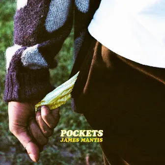 Pockets by James Mantis