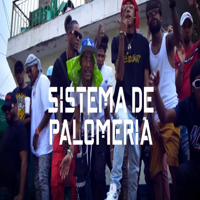 Sistema de Palomeria