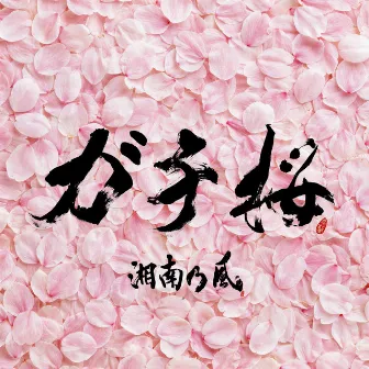 ガチ桜 by Shonan No Kaze