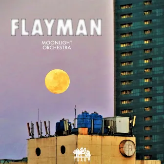 Moonlight Orchestra by flayman