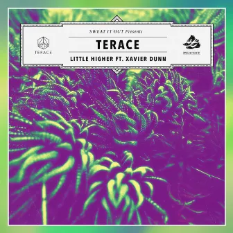 Little Higher (feat. Xavier Dunn) by Terace