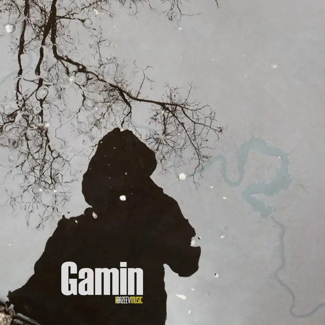 Gamin - Radio Edit