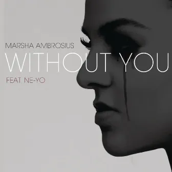 Without You (feat. Ne-Yo) by Marsha Ambrosius