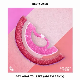 Say What You Like (ADAG!O Remix) by ADAG!O