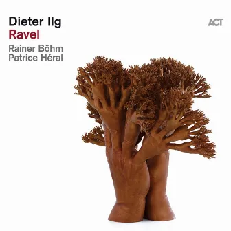 Ravel by Dieter Ilg