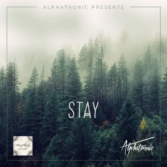 Stay (Radio Edit) by Alphatronic