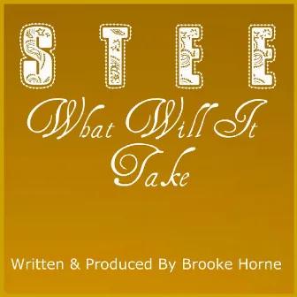 What Will It Take - Single by Stee