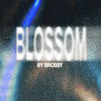 BLOSSOM by brossy