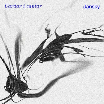 Cardar i Cantar by Jansky