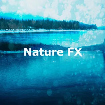 Nature FX by Earthlite