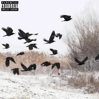 Free Da Crows by Serial