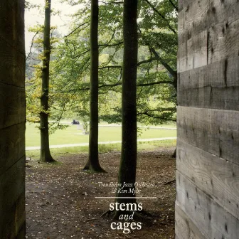 Stems and Cages by Trondheim Jazz Orchestra