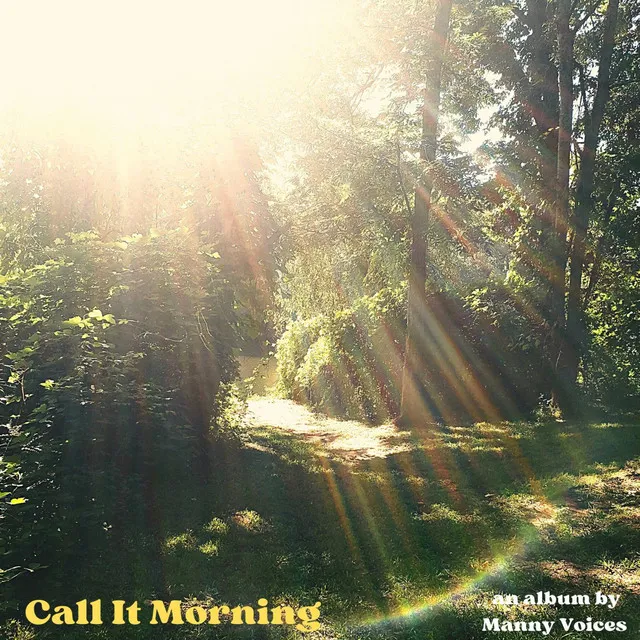 Cicadas/Call It Morning