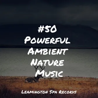 #50 Powerful Ambient Nature Music by Relaxation Sleep Meditation