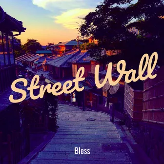 Street Wall by Bless